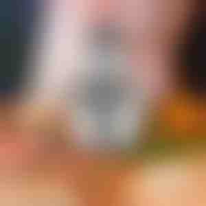 Multifunkčný kuchynský mixér | MULTIMINCER