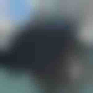 Otočný vankúš na sedadlo o 360 stupňov | SPINPAD