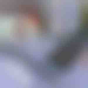 Slnečná clona do auta a na okno | SUNGUARD