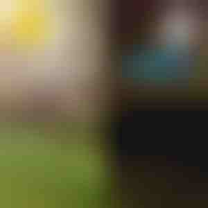 Solárne tropické záhradné svetlá | LUMIPALM