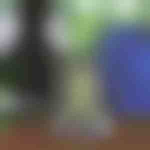 Unisex batoh so šnúrkou | STRIPEBACK