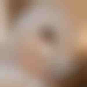 Moskytiéra na spanie, ktorá vás ochráni | BUGISTOP