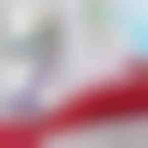 Deka pre morskú pannu | MERMIDREAM