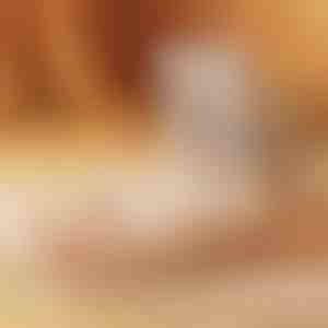 Rýchloschnúca sušička obuvi | DRYVATUS