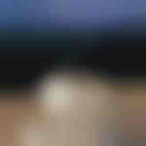 Upokojujúci aróma difuzér | MEDUSAMIST