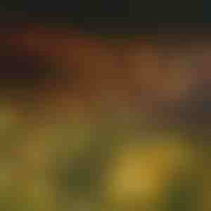 Záhradné solárne svietidlá (teplé svetlo) | SOMPEX