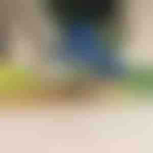 Elektrický škrabka na ovocie a zeleninu | PEELMATIC